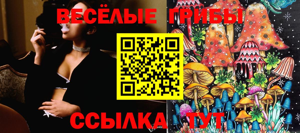 Галлюциногенные грибы ЛСД  Псилоцибиновые грибы ЛСД  Вольск  Вход с VPN 